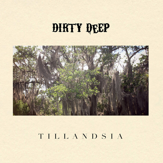 Tillandsia album cover