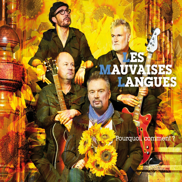 Pourquoi, comment ? album cover