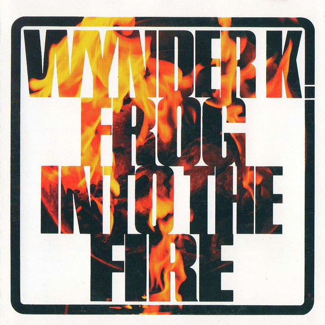 Into the Fire album cover
