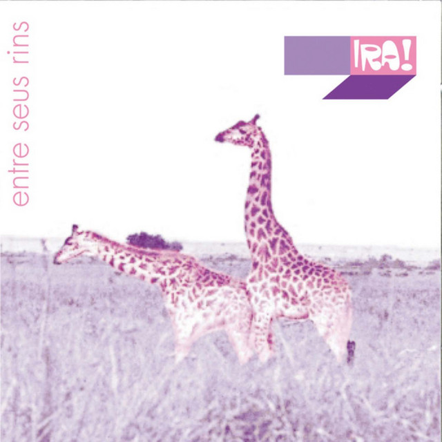 Entre Seus Rins album cover