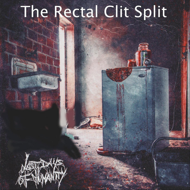 The Rectal Clit Split album cover