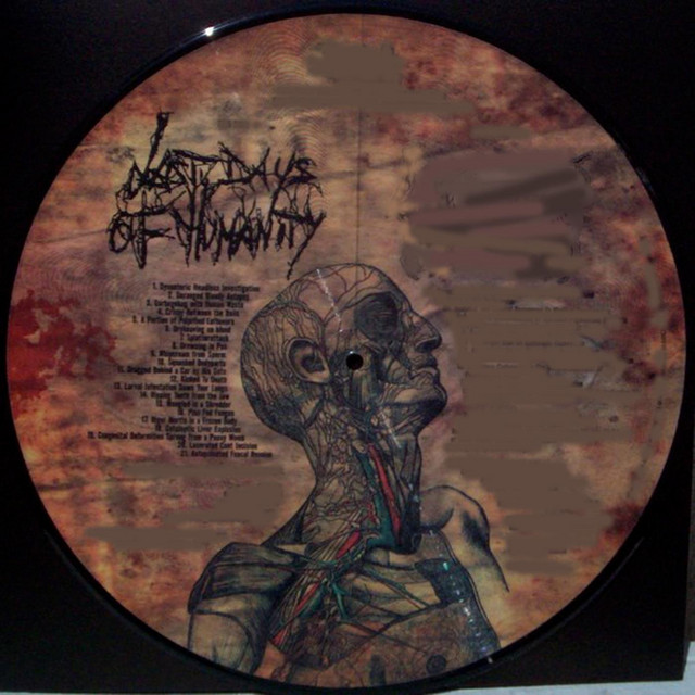 Lymphatic Phlegm album cover