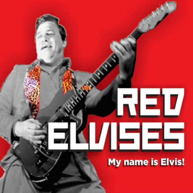 My Name Is Elvis! album cover