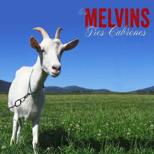 DOD FX33 Buzz Box as heard on Tres Cabrones by Melvins (2013)