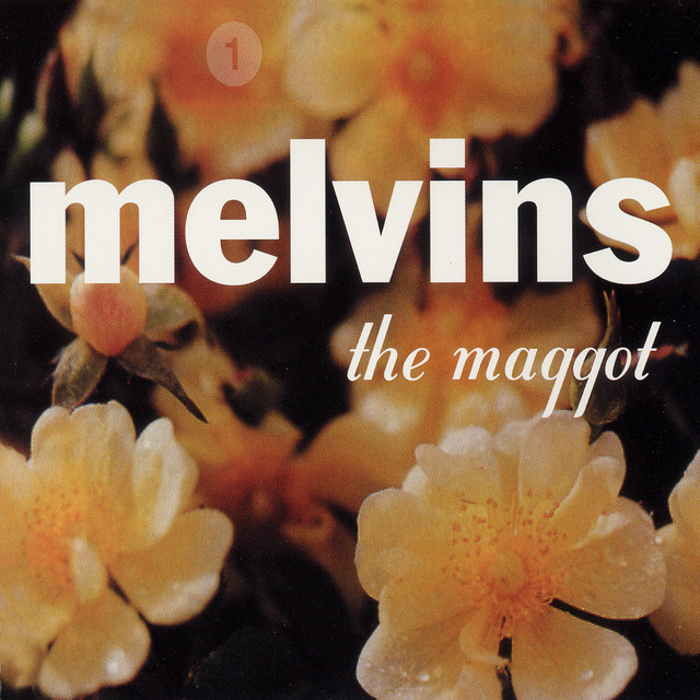 The Maggot album cover