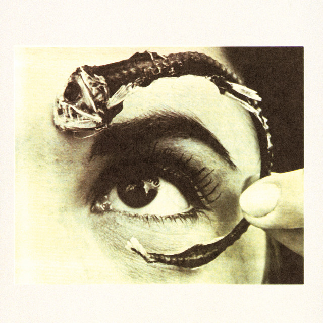 Disco Volante album cover