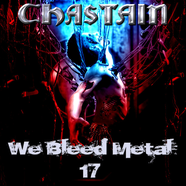 We Bleed Metal 17 album cover