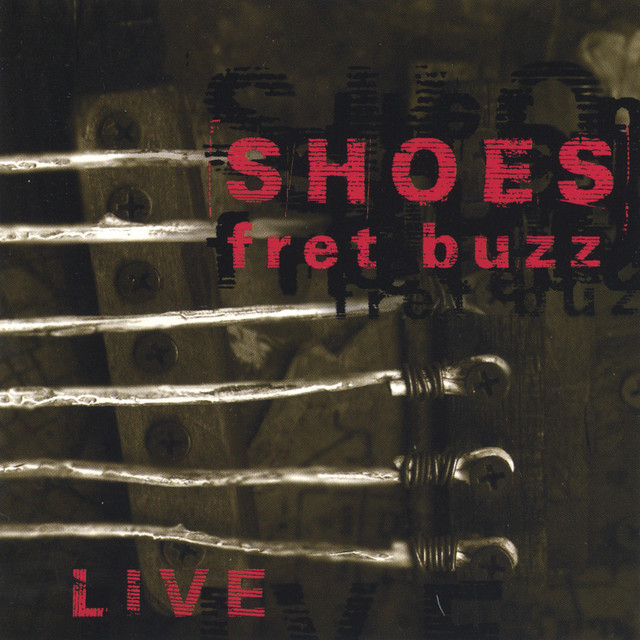 Fret Buzz album cover