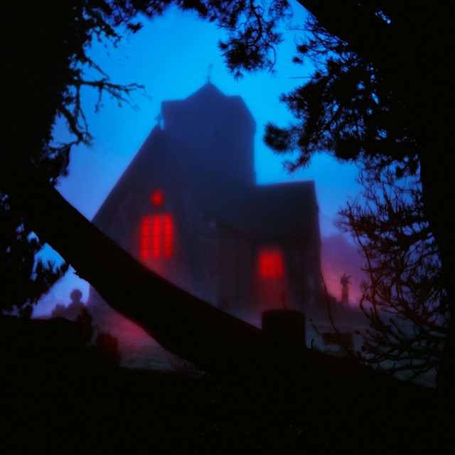 The Host album cover
