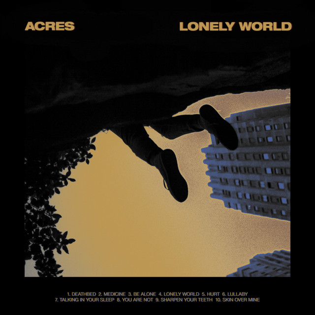 Lonely World album cover
