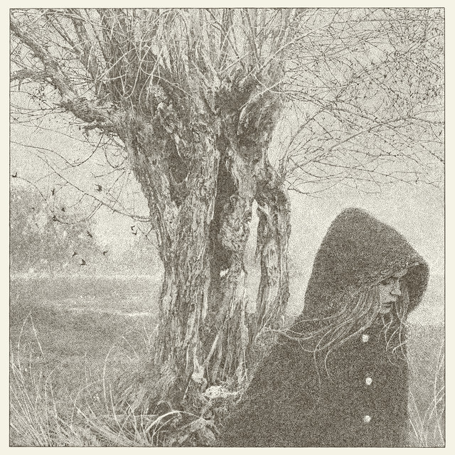 Between the Earth and Sky album cover