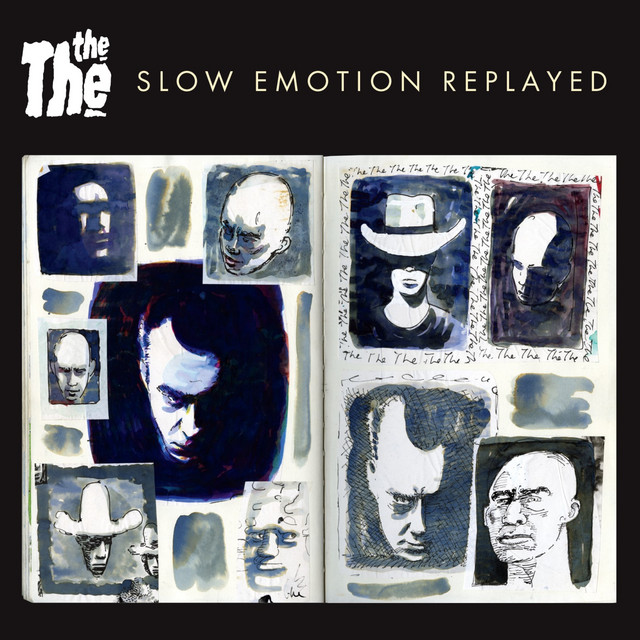Slow Emotion Replayed