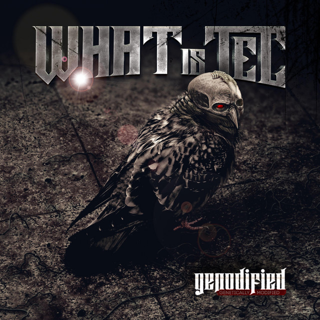Genodified album cover