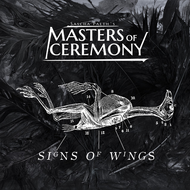 Signs of Wings album cover
