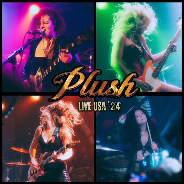 Live USA '24 album cover