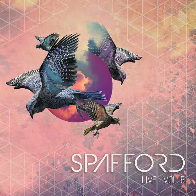 Spafford, Vol. 5 (Live) album cover