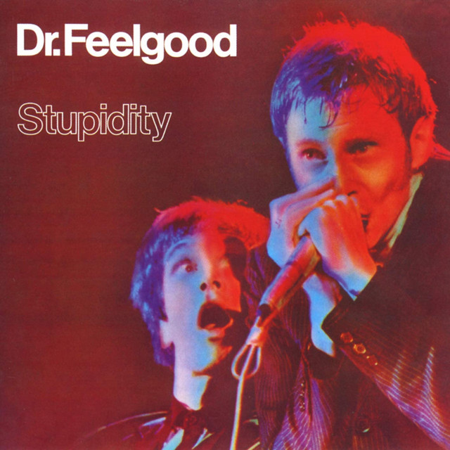 Stupidity (Live) album cover