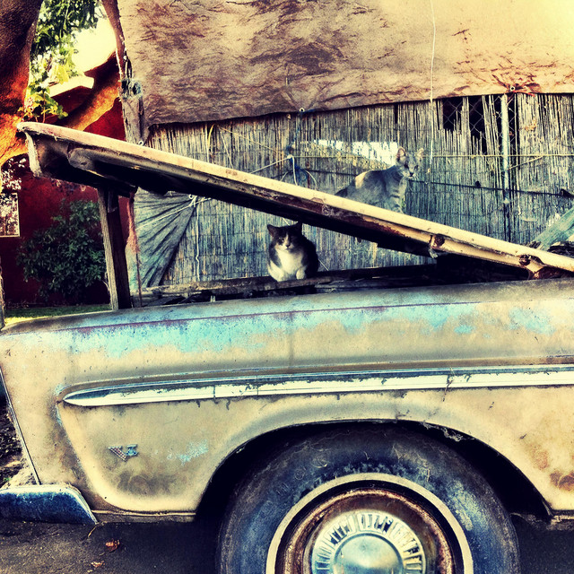 French Ghetto (2025 Redux) album cover