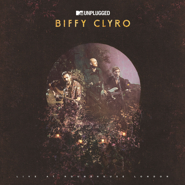 MTV Unplugged (Live at Roundhouse, London) album cover