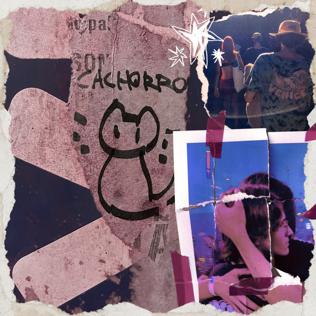 Siamês album cover