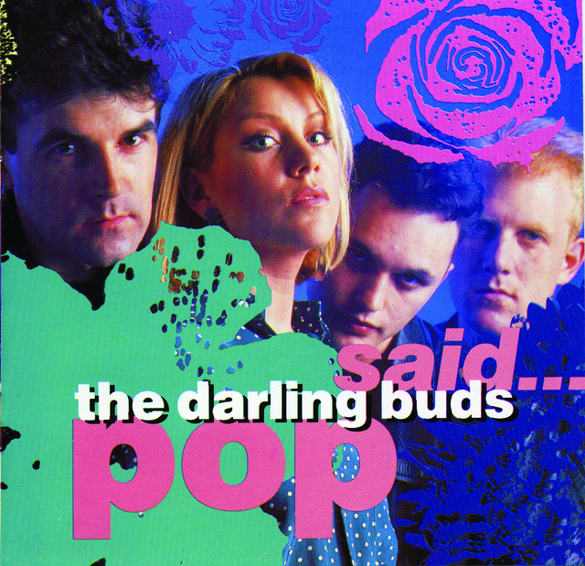 Pop Said... album cover