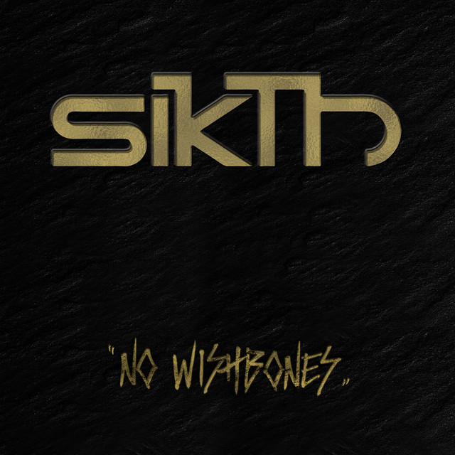 PRS Standard 22 as heard on No Wishbones by Sikth (2017)