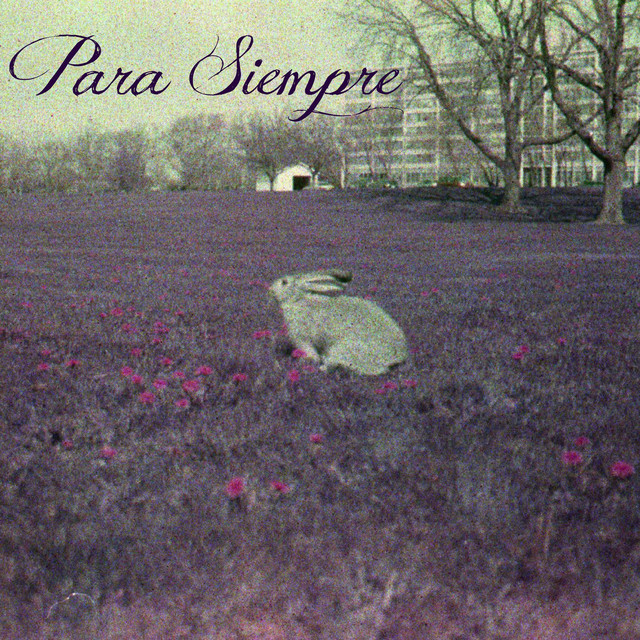 Para Siempre album cover