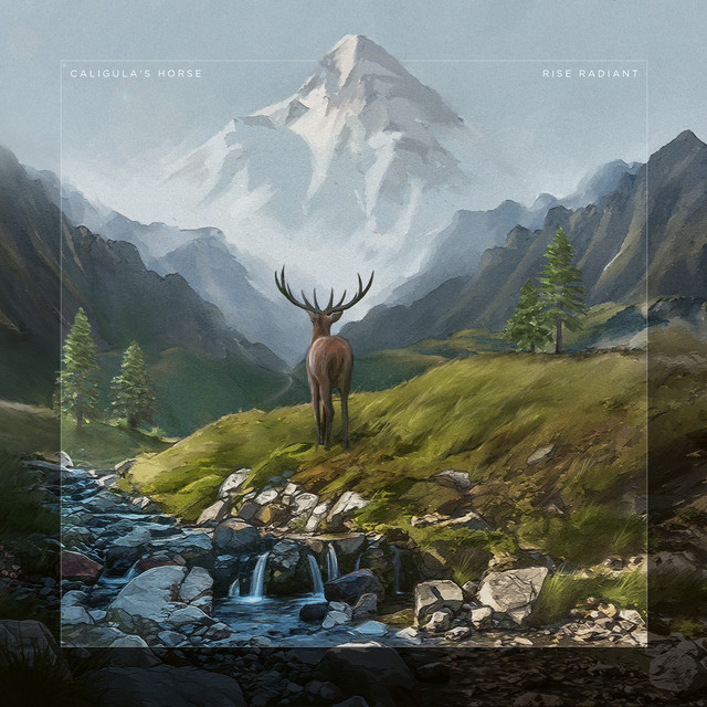 Rise Radiant (Bonus Tracks Version) album cover
