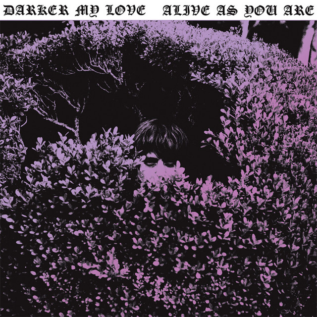 Höfner 500/1 Bass as heard on Alive As You Are by Darker My Love (2010)