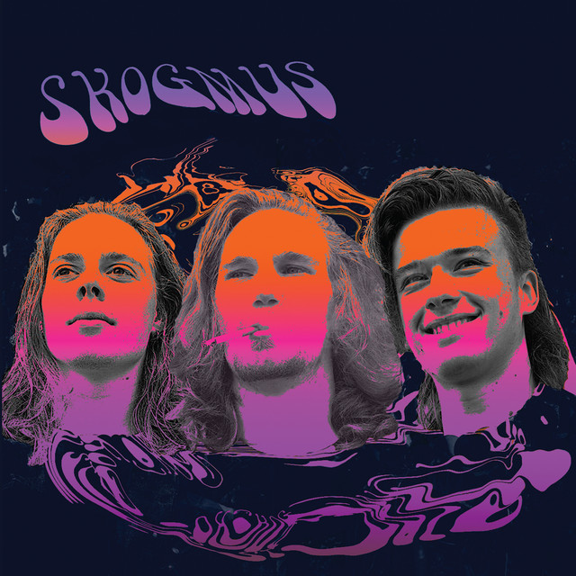 Skogmus album cover