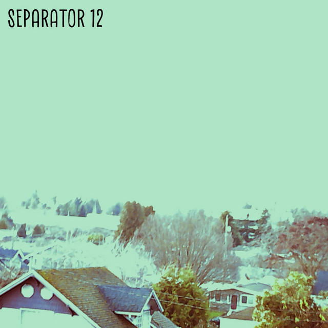 SEPARATOR 12 album cover