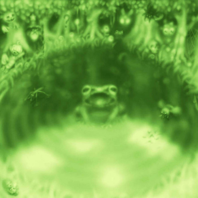 Frog Lake album cover