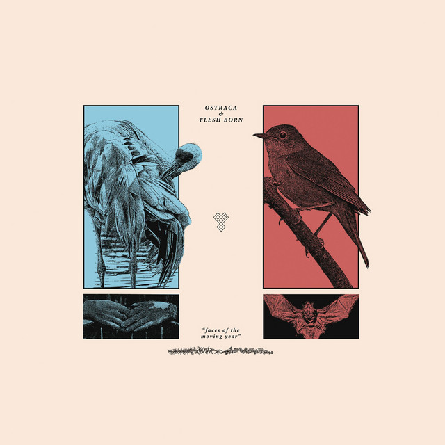Faces of the Moving Year album cover