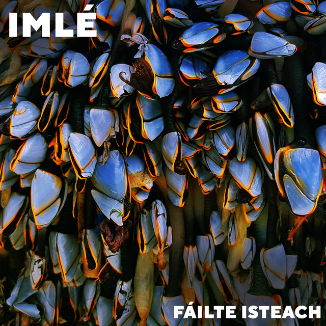 Fáilte Isteach album cover