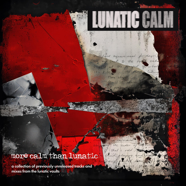 More Calm Than Lunatic album cover