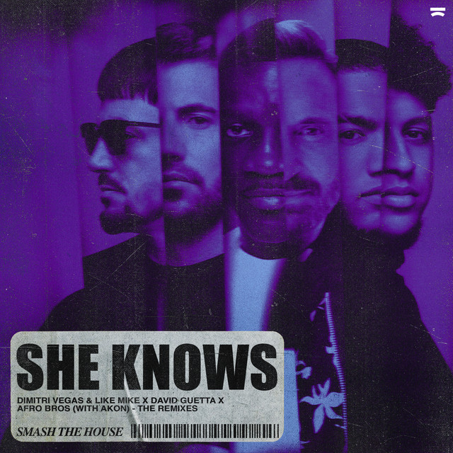 She Knows (with Akon) [The Remixes] album cover