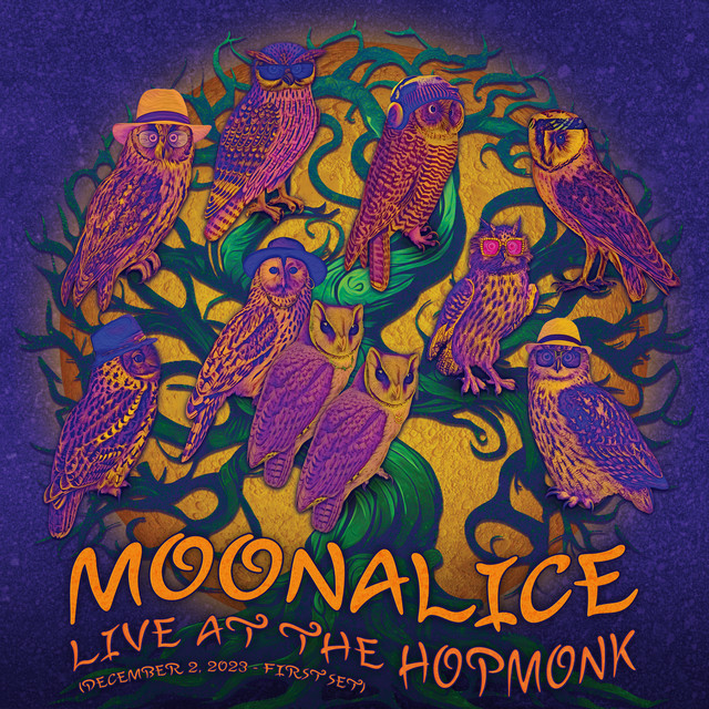 Live at The Hopmonk (December 2, 2023) [First Set] album cover