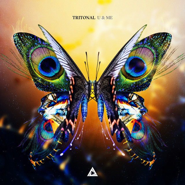 U & Me album cover