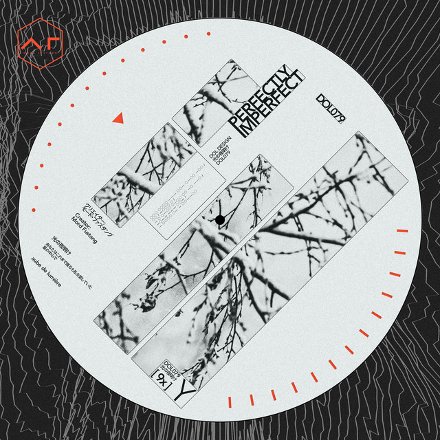 PERFECTLY IMPERFECT album cover