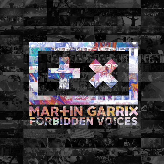 Herschel Supply Co. Heritage Laptop Backpack as heard on Forbidden Voices by Martin Garrix (2015)