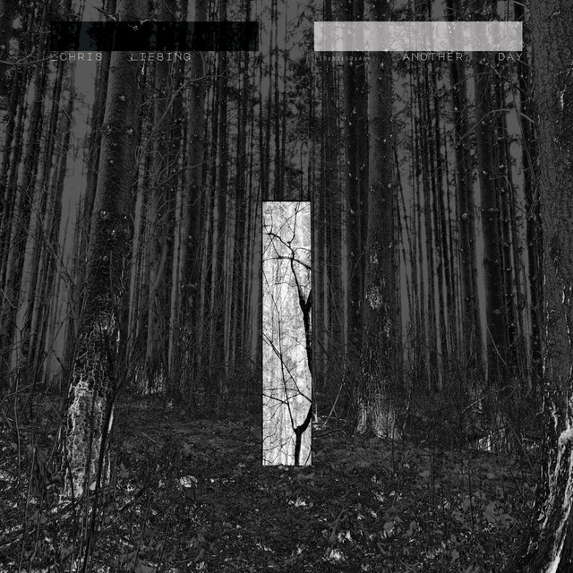 Another Day album cover