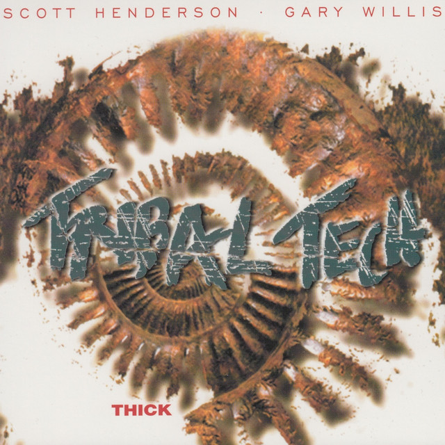 Fender Stratocaster Electric Guitar as heard on Thick by Tribal Tech (1999)