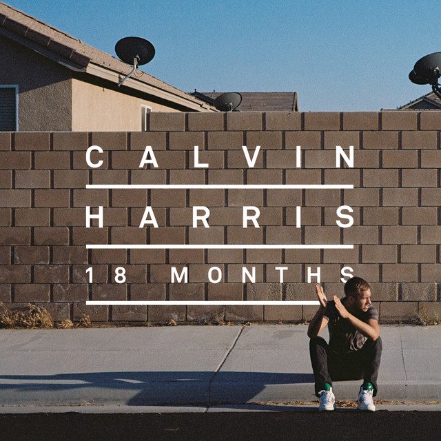 18 Months album cover