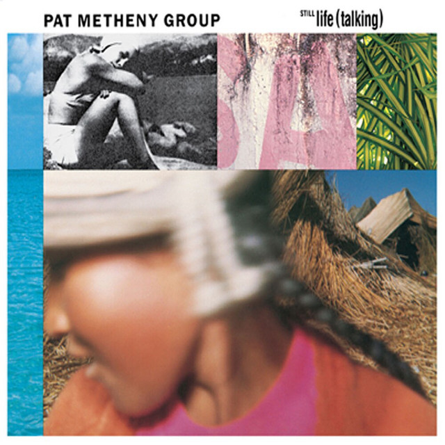 Coral Sitar as heard on Still Life (Talking) by Pat Metheny Group (1987)