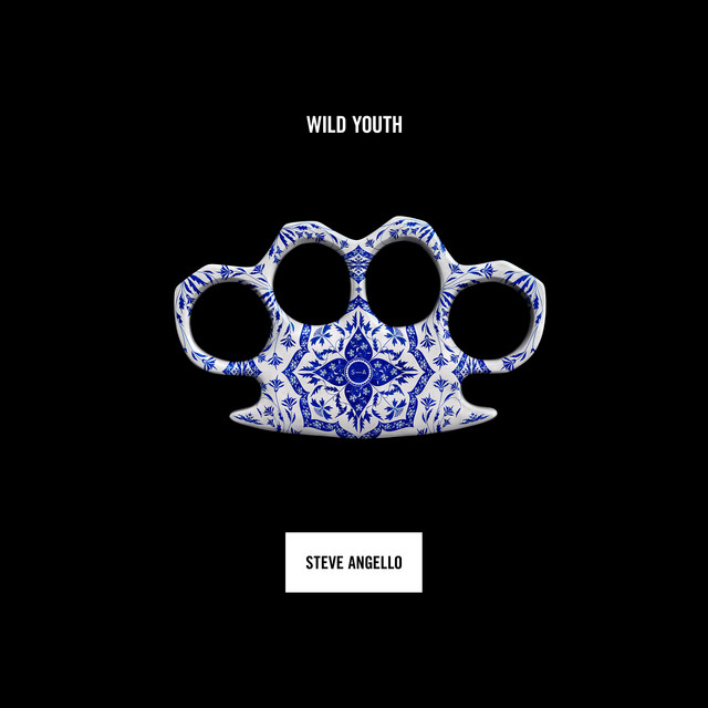 Wild Youth album cover