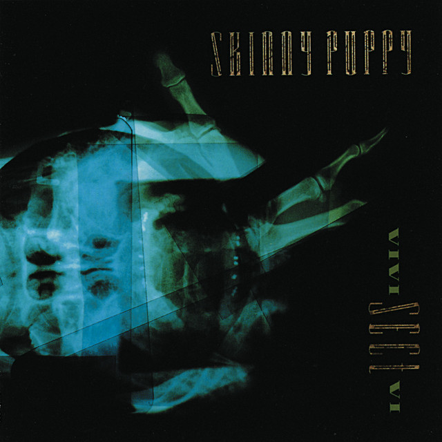 Korg SDD-1000 as heard on VIVI SECT VI by Skinny Puppy (1988)