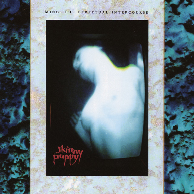 Mind: The Perpetual Intercourse album cover