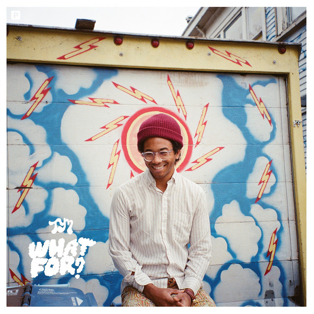 Fender Stratocaster SSH as heard on What For? by Toro y Moi (2015)