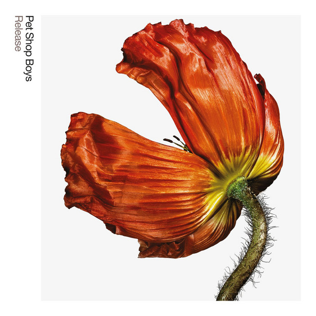 Release: Further Listening 2001 - 2004 (2017 Remaster) album cover