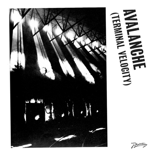 Avalanche (Terminal Velocity) album cover